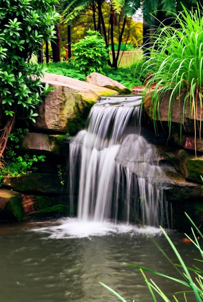 รับจัดสวน